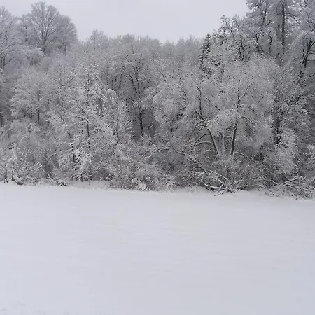 Διαμέρισμα Zwettltalblick Zwettl