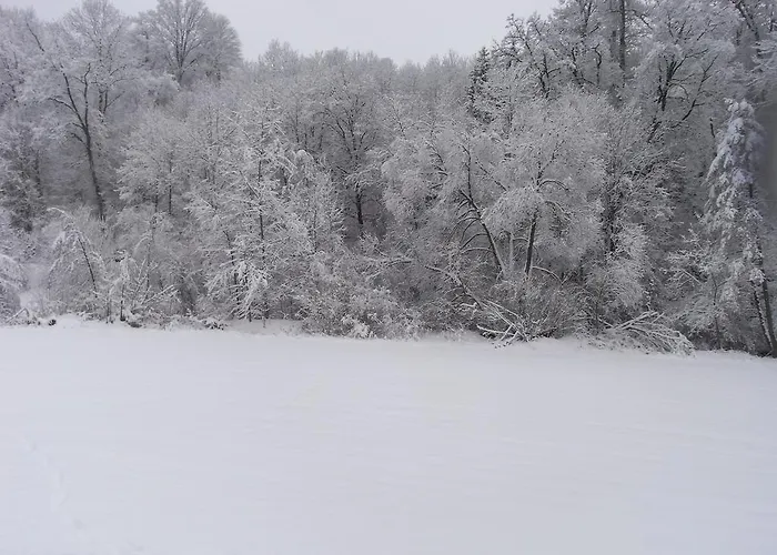 Appartement Zwettltalblick Zwettl